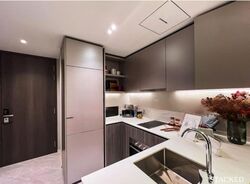 Piccadilly Grand (D8), Apartment #458810951